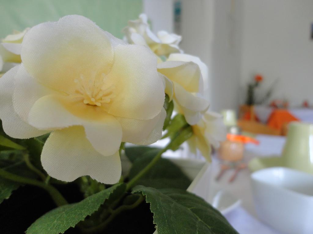 B&B Cristina Чентола Екстериор снимка